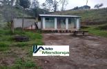 Foto 08