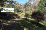 Foto 03