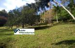 Foto 08