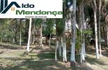 Foto 02
