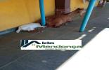 Foto 09