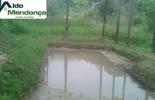 Foto 03