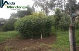 Foto 08