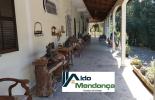 Foto 02