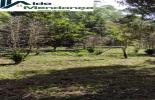 Foto 03