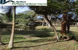 Foto 04