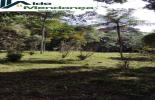 Foto 06