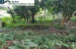 Foto 08