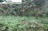 Foto 33