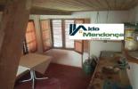Foto 01