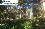 Foto 31