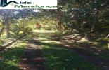 Foto 37