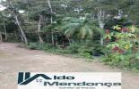 Foto 31