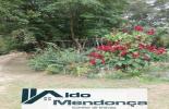 Foto 30