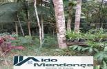Foto 33