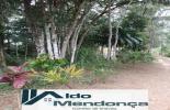 Foto 36