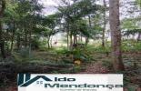 Foto 35