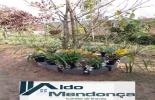 Foto 39