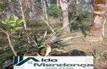Foto 42