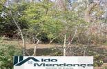 Foto 44