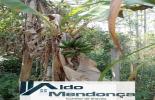 Foto 49
