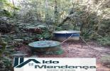 Foto 53