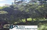 Foto 08