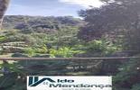 Foto 04