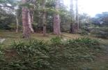 Foto 05