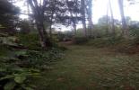 Foto 04