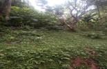 Foto 09