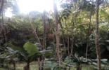 Foto 07