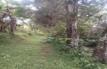 Foto 08