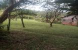 Foto 31