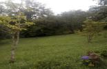 Foto 37