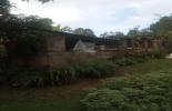 Foto 41