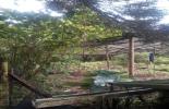 Foto 56