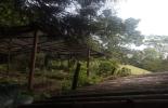 Foto 58