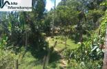 Foto 04