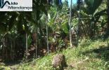 Foto 05