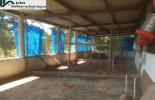 Foto 08