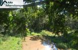 Foto 01