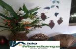 Foto 21
