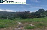 Foto 05