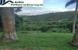 Foto 09