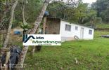 Foto 04
