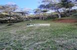 Foto 04