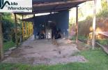 Foto 02