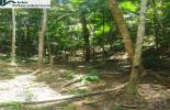 Foto 03