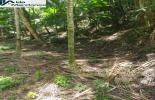 Foto 01